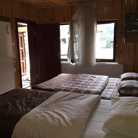 Olimbera Uzungöl